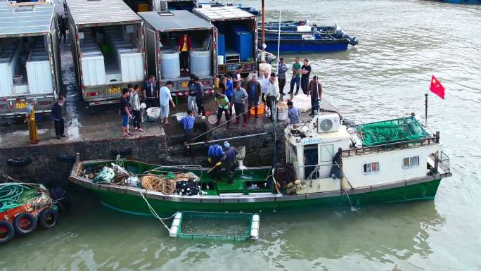 渔港码头卸鱼海鲜渔船停泊鲜活海鲜分拣