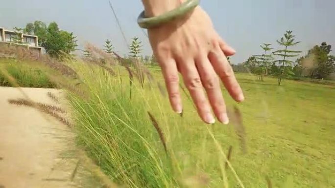 女人用手触摸草