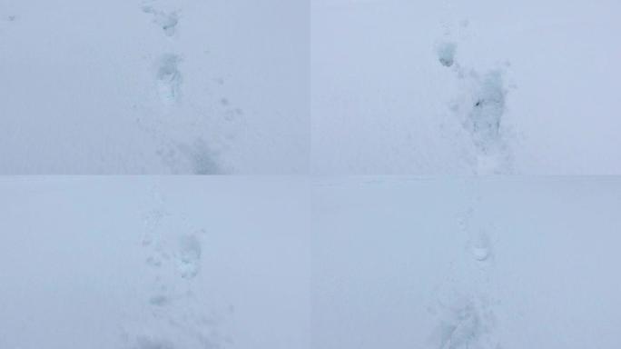 沿着积雪覆盖的方式移动，在雪地里留下脚印