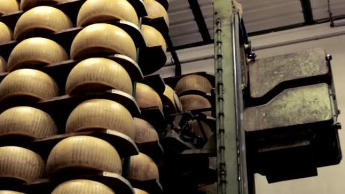 机器清洁，刷生产者成熟的帕尔马干酪