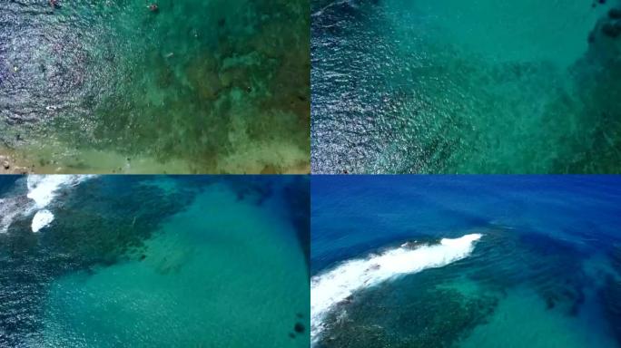 茂宜岛清澈水面下的华丽珊瑚礁