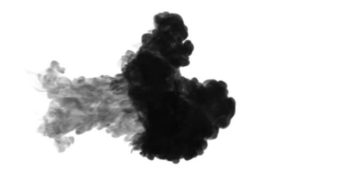 墨水溶解在白色背景的水中，亮度哑光。计算机模拟的3d渲染。黑色墨水注入水中。1