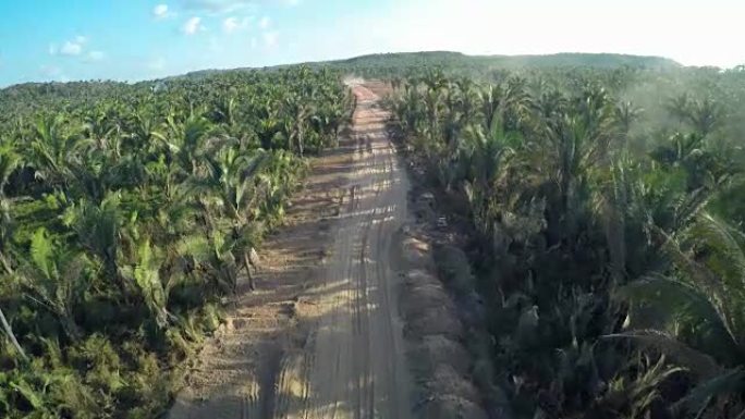 巴西马圣安东尼奥·多斯·洛佩斯的棕榈树路