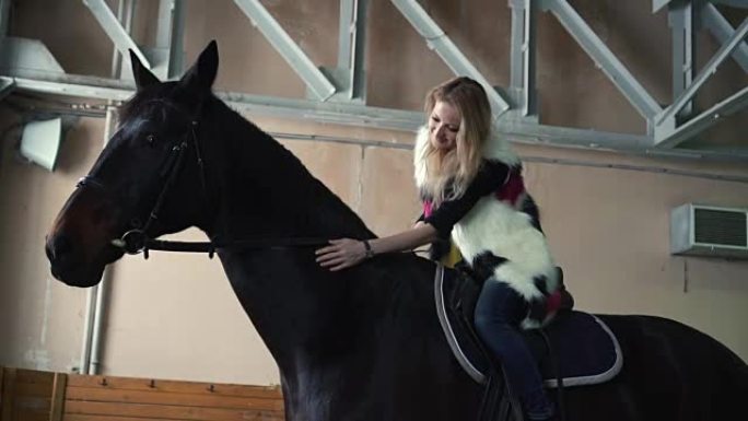 动物，骑马概念。年轻女子坐在马上抚摸着它的边缘