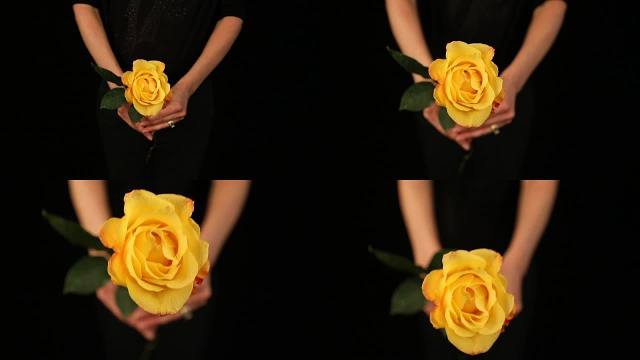 女人伸出黄玫瑰