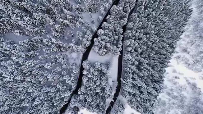 高山积雪覆盖的冬季森林中发夹弯转弯道路的高架俯视图。白松树林。白雪街道道路建立。4k无人机直飞建立