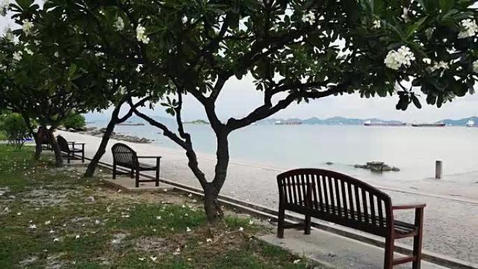 泰国春武里府Koh Sichang的海滨别墅绿色别墅。