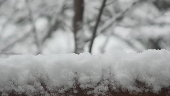 篱笆上的积雪