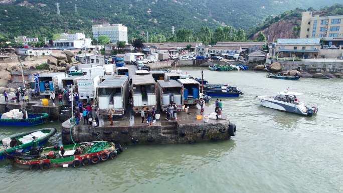 渔港码头卸鱼海鲜渔船停泊鲜活海鲜分拣