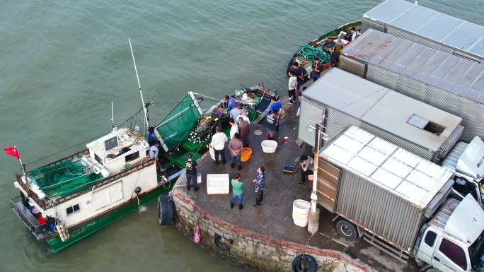 渔港码头卸鱼海鲜渔船停泊鲜活海鲜分拣