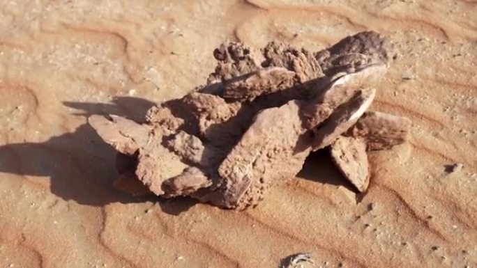 沙漠玫瑰是石膏或重晶石的晶体簇的形成，其中包括Rub al Khali沙漠库存视频中的丰富沙粒