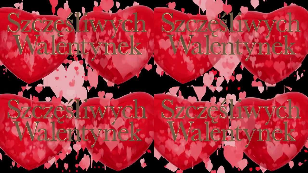 波兰情人节快乐短语，szcz ę ś liwych Walentynek带有两个跳动的3D红心和移动
