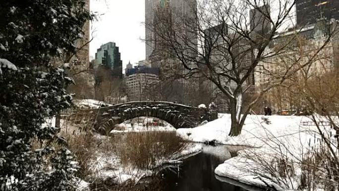 Slow Motion - Snowy Central Park