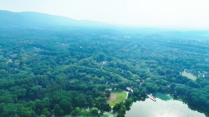 4K航拍高空树林风景