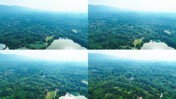 4K航拍高空树林风景