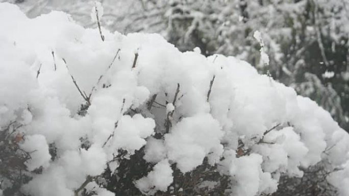 江原道江陵市屋檐下的雪