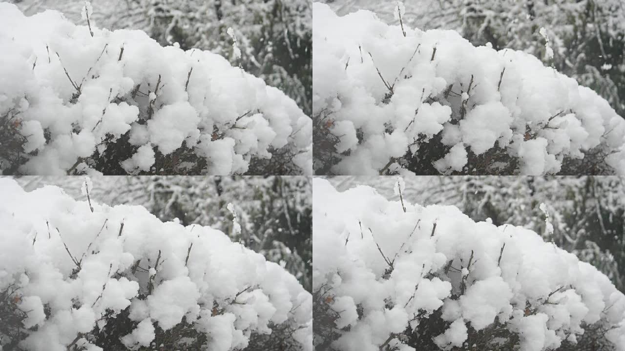 江原道江陵市屋檐下的雪