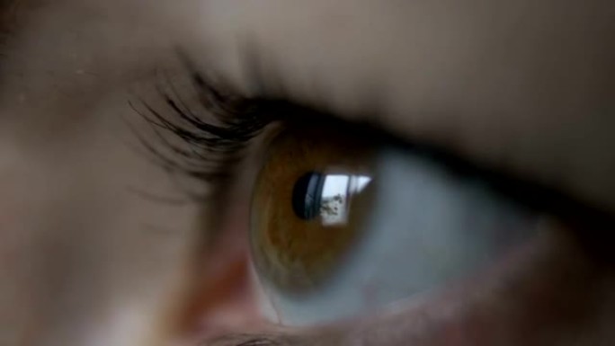 女人的眼睛侧视图，窗户的反射，棕色的眼睛，微距拍摄