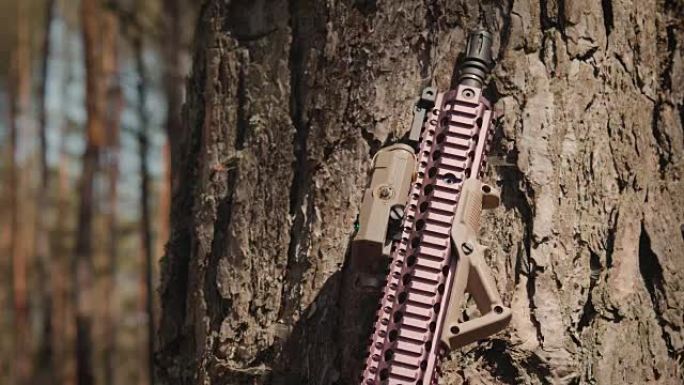 突击步枪放在森林里的一棵树旁