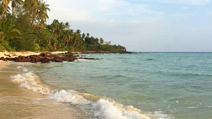 岛上有椰子棕榈树的海滩和大海