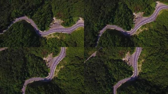 鸟瞰图飞越旧的两车道森林道路，汽车面包车移动茂密树林的绿树，两侧生长-无人机四直升机鸟瞰视角