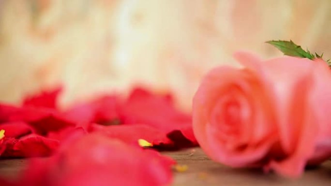 Pink rose flower on wooden floor Valentine's Day