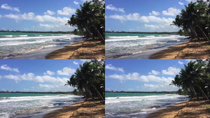 波多黎各海滩上的风日