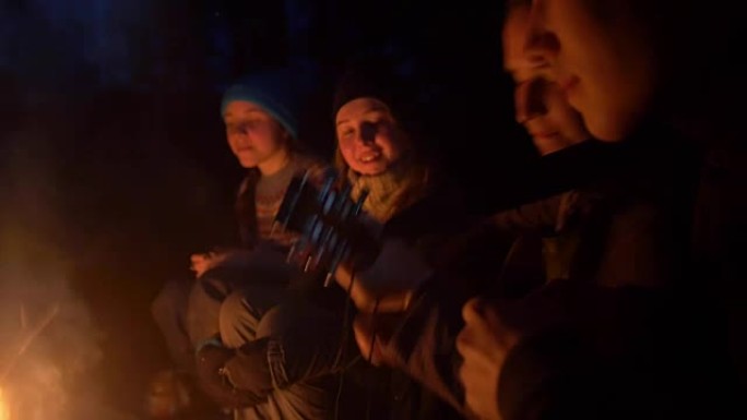 团体og朋友在夜林营火前向吉他唱歌