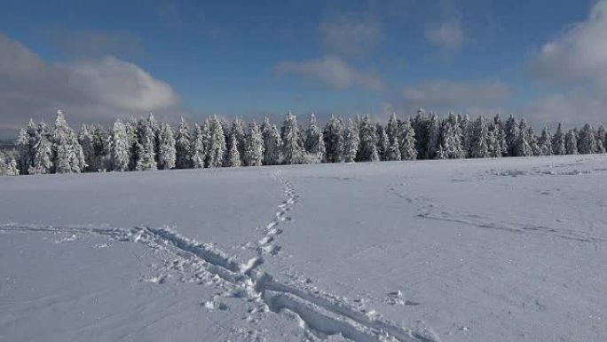 树木和树枝上的白霜，冬天，霜冻，冰晶，冰冷，Wasserkuppe，rh ö n，Hessen，4K