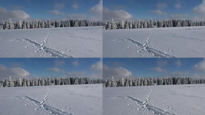 树木和树枝上的白霜，冬天，霜冻，冰晶，冰冷，Wasserkuppe，rh ö n，Hessen，4K