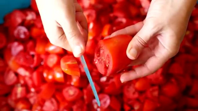 女人手切西红柿-意大利南部的自制番茄酱: