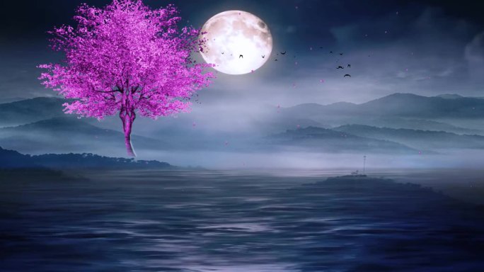 静夜思 望月 中秋月圆 唯美月色