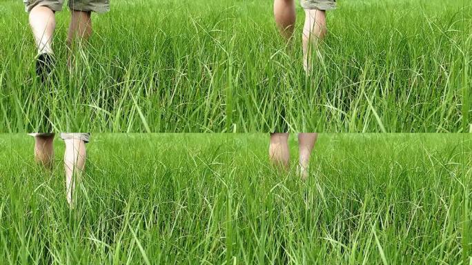 男子在草丛中行走慢动作