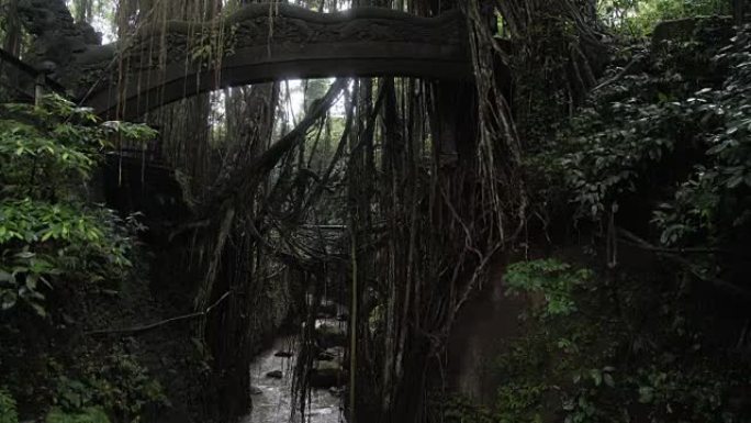 印度尼西亚乌布附近圣猴森林的著名龙桥