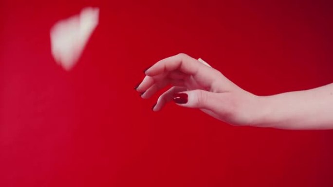 女孩的手在白玫瑰的花瓣中。