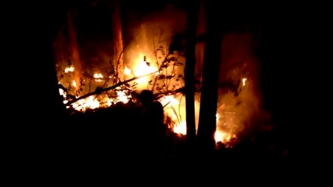 消防员试图阻止森林大火