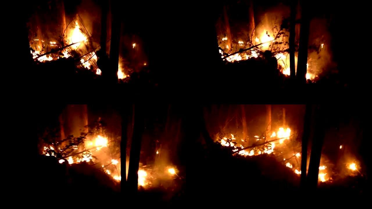 消防员试图阻止森林大火