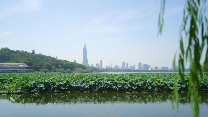 河边风景