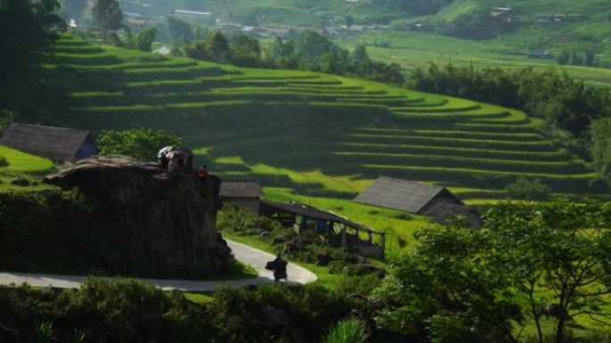摩托车驶过越南萨帕风景秀丽的稻田