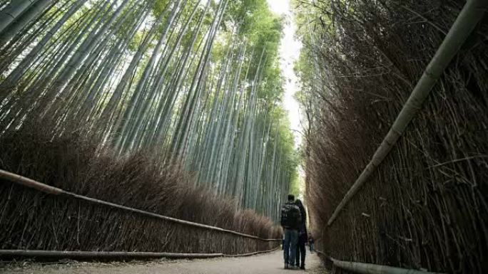 4k时间流逝: 人们在日本京都岚山的竹林中行走