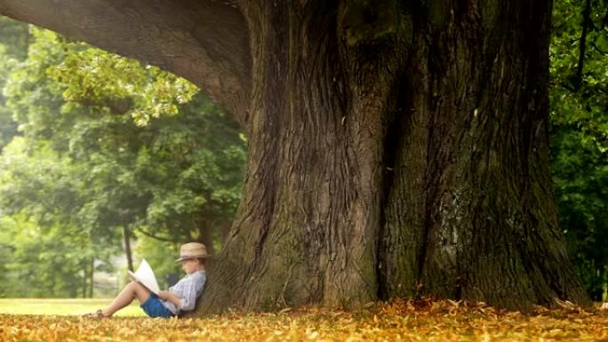 小男孩在阳光明媚的日子坐在树下看书