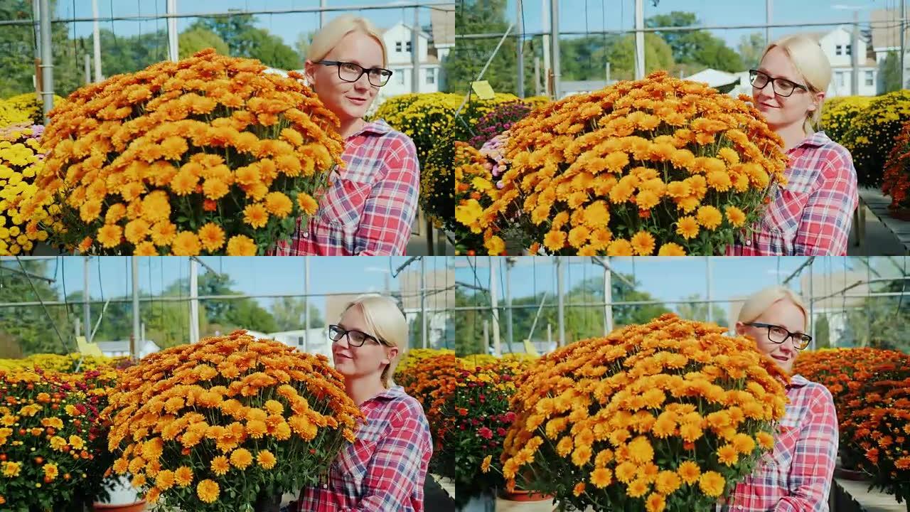 一个女人端着一盆黄色的花。在花卉苗圃和小企业概念工作。Steadicam射击