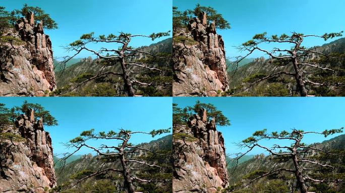 树和悬崖，南韩Seoraksan国家公园