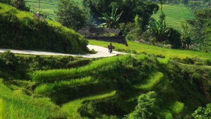 摩托车驶过越南萨帕风景秀丽的稻田