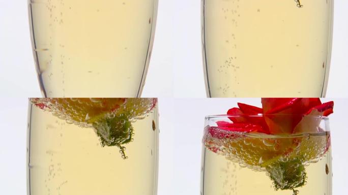红色玫瑰花蕾躺在一杯香槟中。白色背景。特写