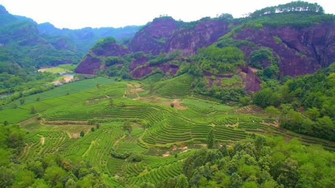 航拍武夷山九曲溪竹筏漂流绿水青山茶园风光