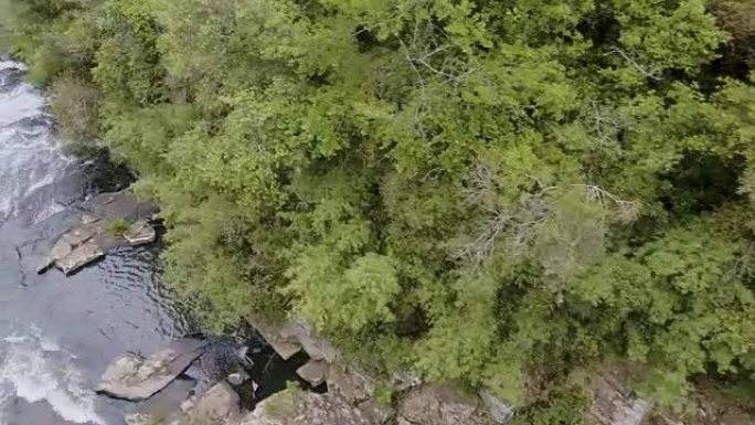 Caracol Falls in Canela，RS，巴西