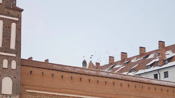 鸟群在城堡上空盘旋