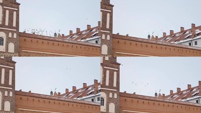 鸟群在城堡上空盘旋