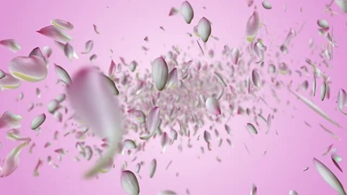 粉红莲花飞翔。